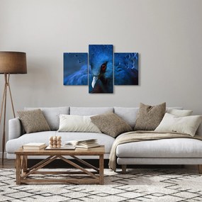 Kép - Koronás galamb (90x60 cm)