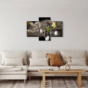 Kép - Hazudós macska (90x60 cm)