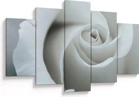Kép - Fehér rózsa (150x105 cm)