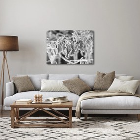 Kép - Fagyott levelek, fekete-fehér (70x50 cm)