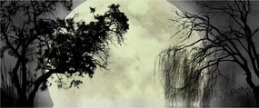 Kép - Telihold a felszín felett, fekete-fehér változat (120x50 cm)