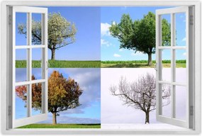 Poszterek 120x80 Négy évszak Fa
