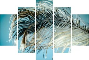Tollas kép (150x105 cm)