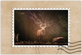 Poszter 60x40 Szarvas felszarvazott