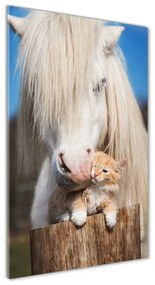 Üvegkép Fehér ló egy macska osv-119704744