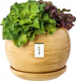 Kerámia kaspó Gömb 3 állvánnyal világos barna