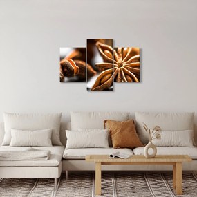 Kép - Anise (90x60 cm)