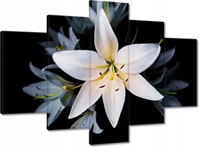 Vászonkép 150x105 Fehér liliom csokor Virág