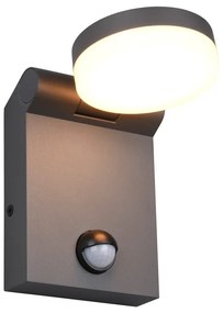 Kültéri lámpa mozgásérzékelővel (magasság 19 cm) Adour – Trio