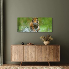 Kép - Futó tigris (120x50 cm)