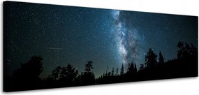 Vászonkép Kozmosz Éjszaka Erdő Köd Természet Csillagászat 120x40
