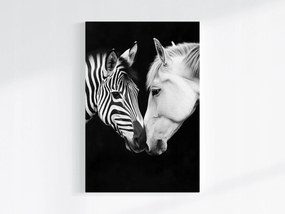 Canvas Vászonkép Portré Ló Zebra Fehér Fekete Kontraszt B&amp;w 80x120