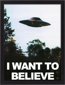 Vászonkép keretben X-akták I want to believe Ufo 30x20 cm