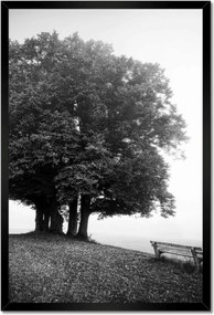 Poszterek keretben 40x60 Tájkép szürke Bw