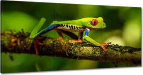 Vászonkép 180x90 Állatok