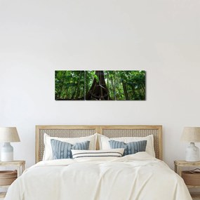 Kép - A fa gyökerei (órával) (90x30 cm)