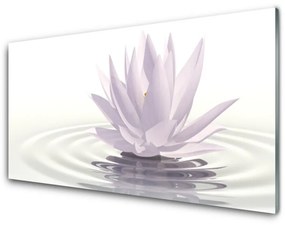 Akrilüveg fotó Virág Víz Art 100x50 cm
