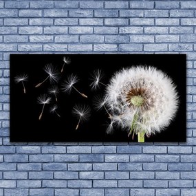 Fali üvegkép Pitypang 120x60cm