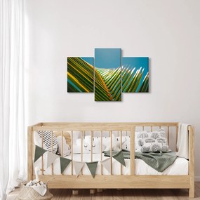 Kép - A pálmalevél részlete (90x60 cm)