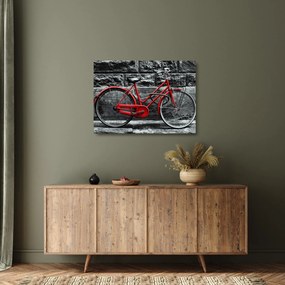 Kép - Történelmi kerékpár (üvegen) (70x50 cm)