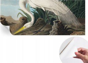 Divatos öntapadós fali tapéta Furnér Fenséges kócsag 250x104 cm