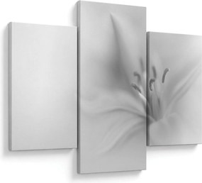 Kép - Delicate Lily (90x60 cm)