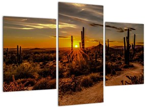 Kép - A nap vége az arizonai sivatagban (90x60 cm)