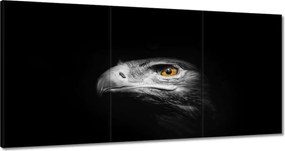 Képek 180x90 A sas támadása