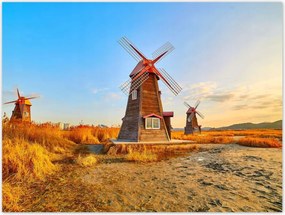 Poszterek 40x30 Fa szélmalom