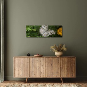Kép - fehér pillangó (órával) (90x30 cm)