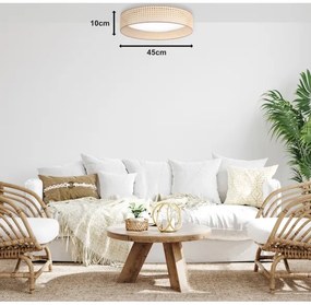 Duolla - LED Mennyezeti lámpa ROLLER LED/24W/230V átm. 45 cm rattan
