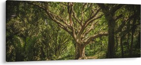 Fa képe (120x50 cm)