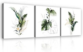 Vászonkép 3 darabos, Trópusi levelek, 3 db 25x25 cm méret