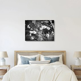 Üveg kép - Pókháló a réten (70x50 cm)