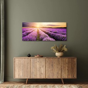 Kép - Napfelkelte levendulamezőn (120x50 cm)