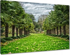 Festmények 100x70 Tájkép