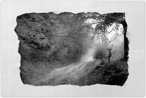 Poszterek 120x80 Szarvas az erdőben