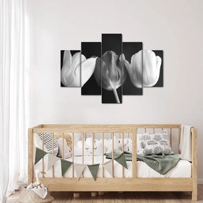 Kép - fekete-fehér tulipán virág (150x105 cm)