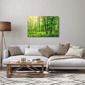 Kép - Tavaszi lomberdő (90x60 cm)