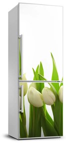 Matrica hűtőre Tulipán FridgeStick-70x190-f-40774643