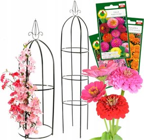 Kerti Pergola RĂłzsĂĄk VirĂĄgok Oszlop