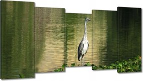 Vászonkép 150x80 Kalapos madár Tájkép Kilátás