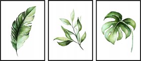 Triptichon Poszterek 50x70 sorozat 3 db-os kép szett levelek