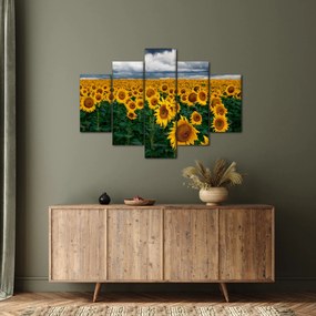 Napraforgó mező képe (150x105 cm)