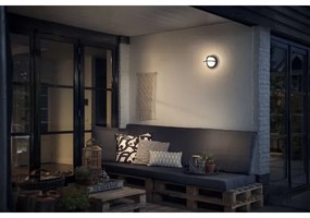 Philips 17380/30/PN - Kültéri fali lámpa MYGARDEN ASTILBE 1xE27/42W/230V