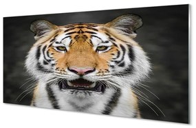 Üvegképek Tigris 120x60cm 2 fogas