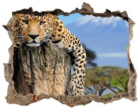 3d-s lyukat fali matrica Leopard egy fatönkön nd-k-66888484