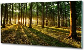 Fotó üvegkép Móló a tóparton 125x50