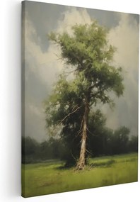 Vászonkép Faliképek A Nappaliba Olajfa *többféle minta