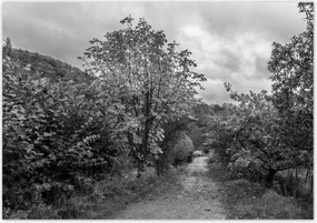 Poszterek 100x70 Őszi tájkép